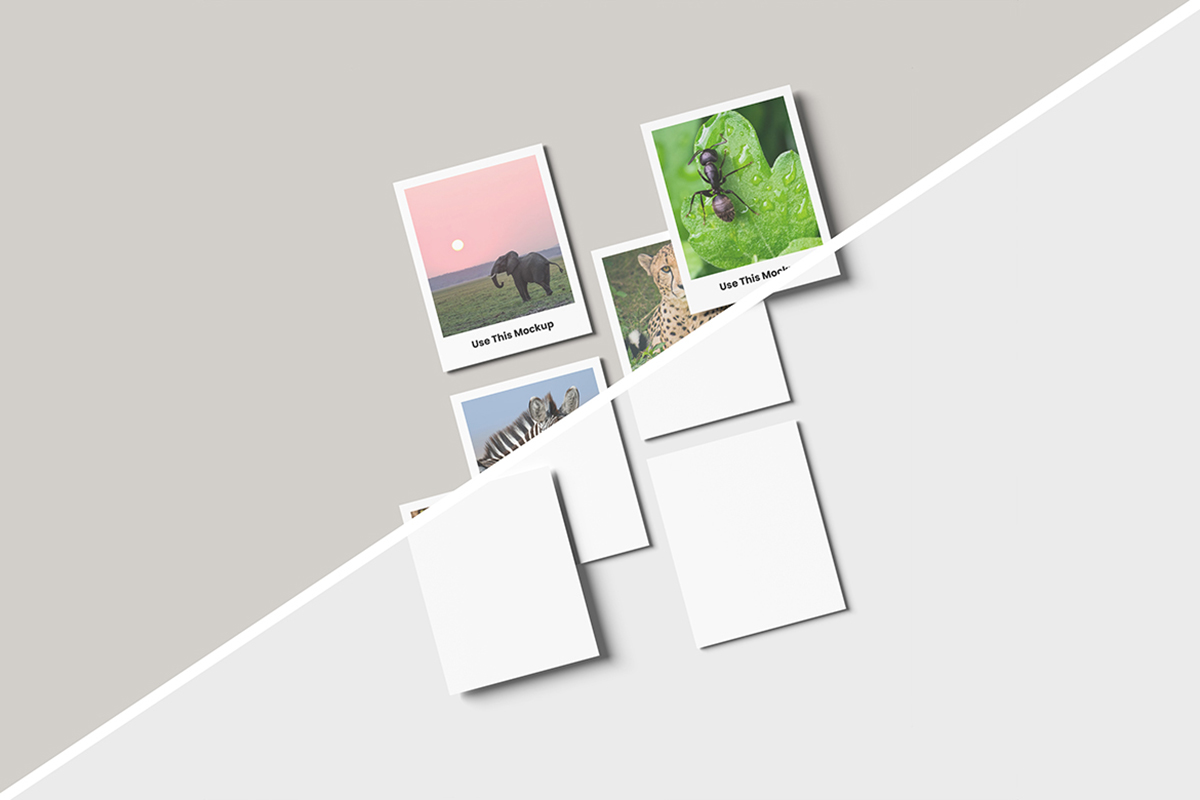 Minimalist Polaroid Photo Mockup