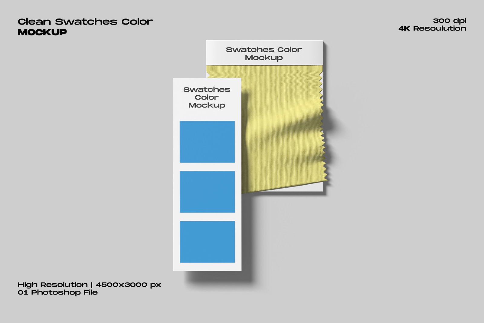 Clean Swatches Color Mockup