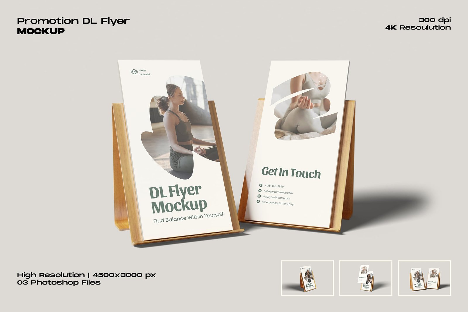 Promotion DL Flyer Mockup