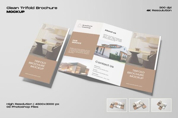 Clean Trifold Brochure Mockup